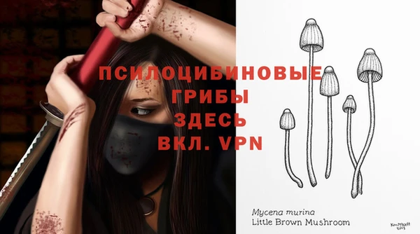 ГАЛЛЮЦИНОГЕННЫЕ ГРИБЫ Баксан