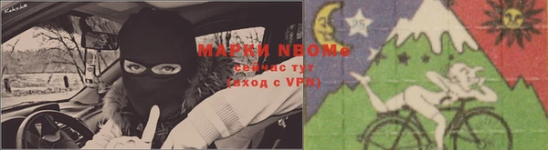 индика Беломорск
