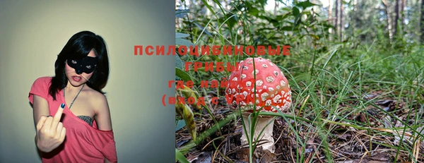 мяу мяу мука Белоозёрский