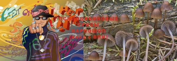 индика Беломорск