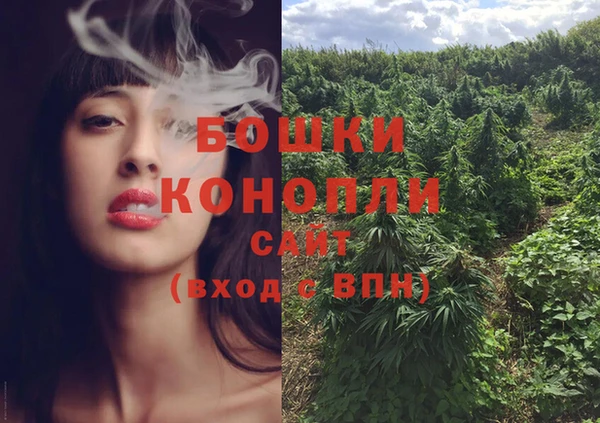 PSILOCYBIN Балабаново
