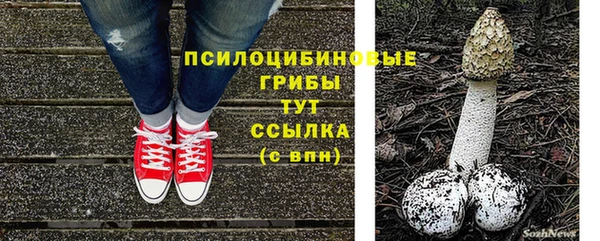 бошки Артём