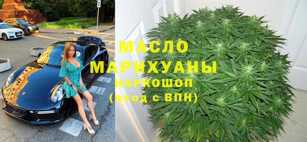 индика Беломорск