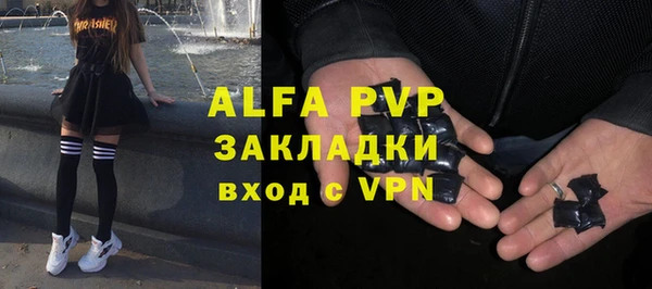 индика Беломорск