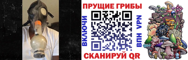 Псилоцибиновые грибы Magic Shrooms  Бирюсинск 